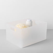 Load image into Gallery viewer, Frosted bin