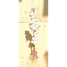 Load image into Gallery viewer, Decanter