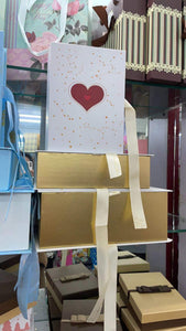 DS box