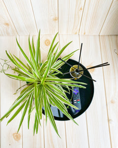 Round tray