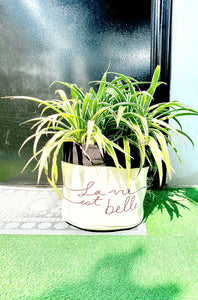 La Vie Est Belle Storage bin